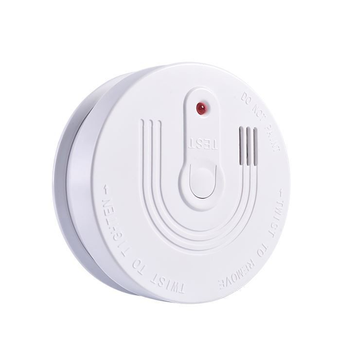 Standalone Somke Alarm