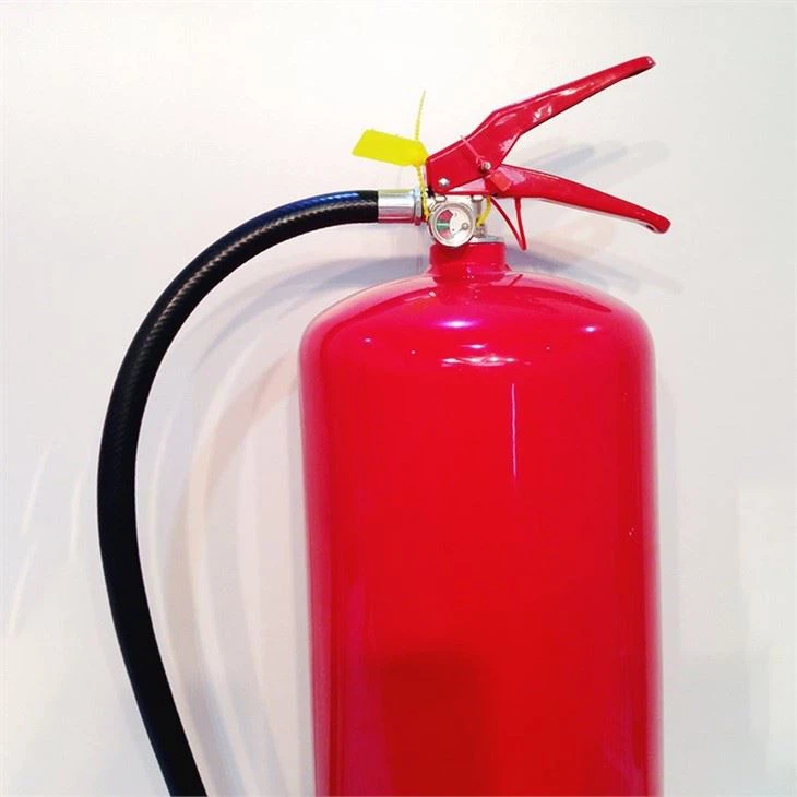Hand Held Dry Powder Fire Extinguisher