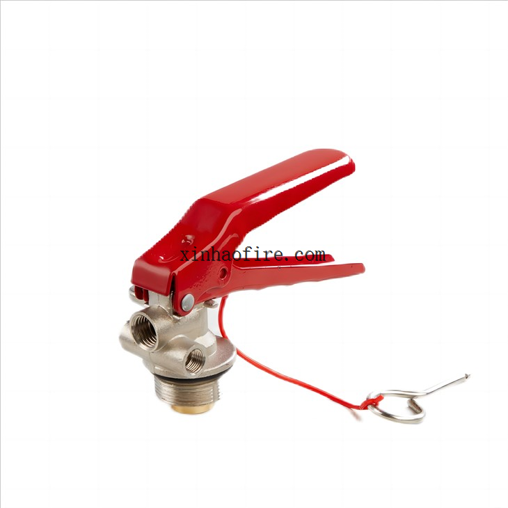 6kg ABC Dry Powder Fire Extinguisher Valve